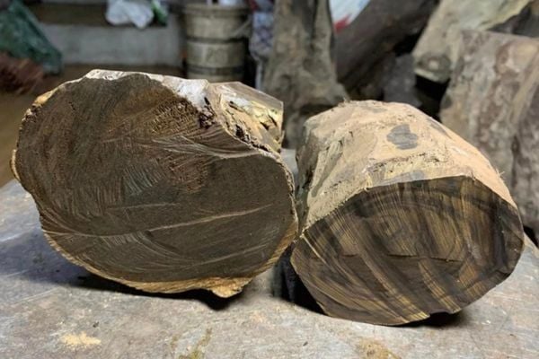 Hình ảnh bài viết