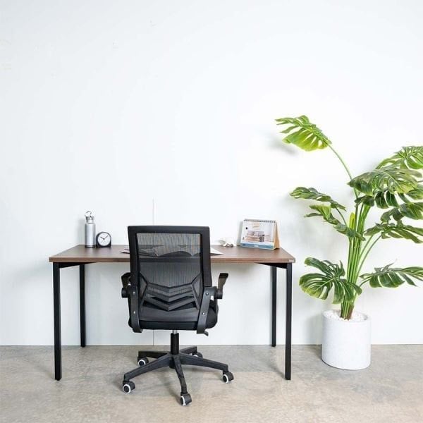 Hình ảnh bài viết