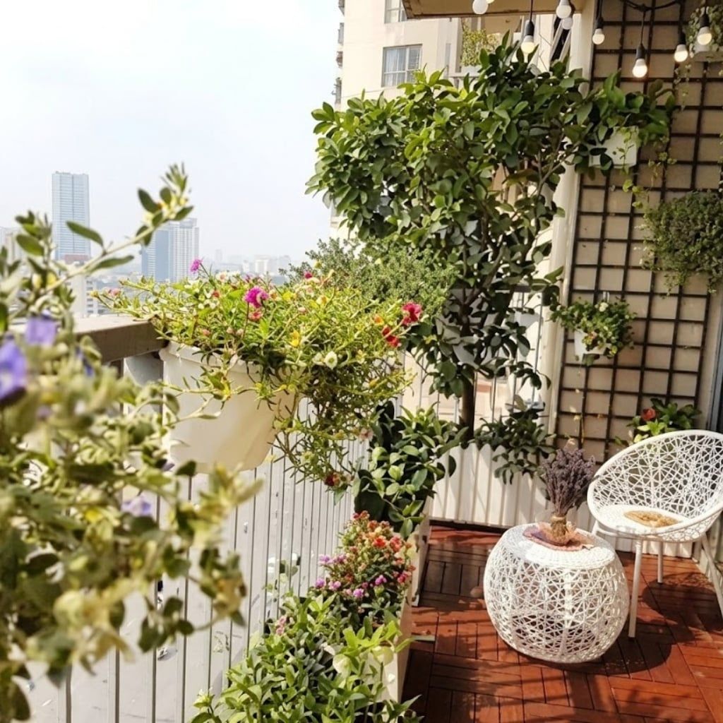 Hình ảnh bài viết