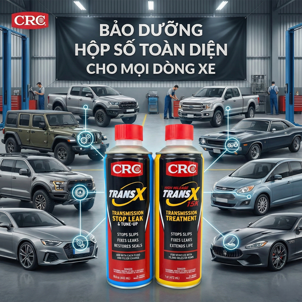 bảo dưỡng hộp số toàn diện cho mọi dòng xe