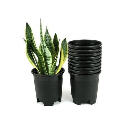 plastic plant pot