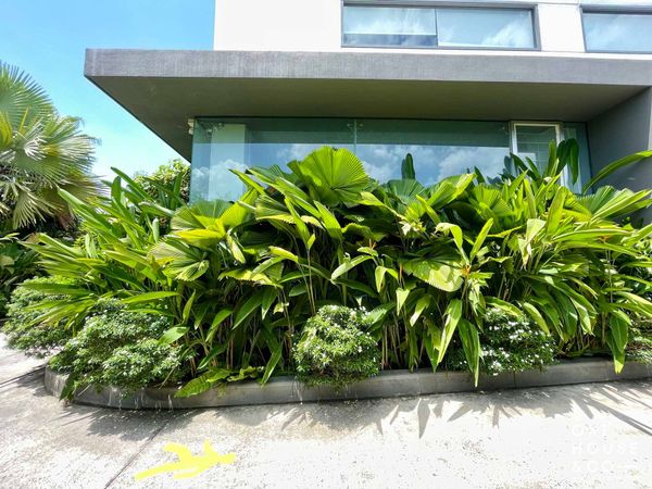 BẢO DƯỠNG CẢNH QUAN NHÀ MÁY NATURE STORY