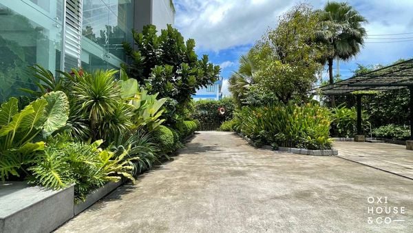 BẢO DƯỠNG CẢNH QUAN NHÀ MÁY NATURE STORY