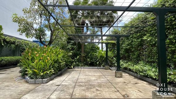 BẢO DƯỠNG CẢNH QUAN NHÀ MÁY NATURE STORY