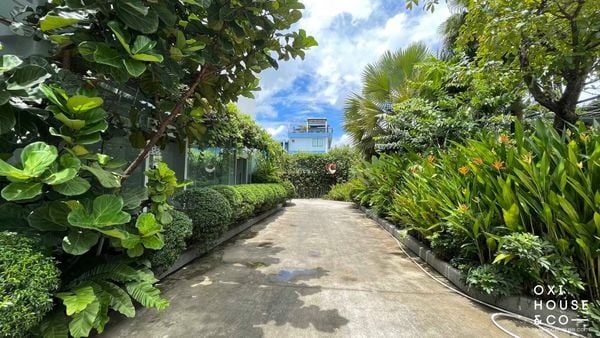 BẢO DƯỠNG CẢNH QUAN NHÀ MÁY NATURE STORY