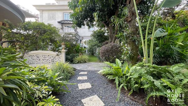 DỊCH VỤ CHĂM SÓC SÂN VƯỜN BIỆT THỰ