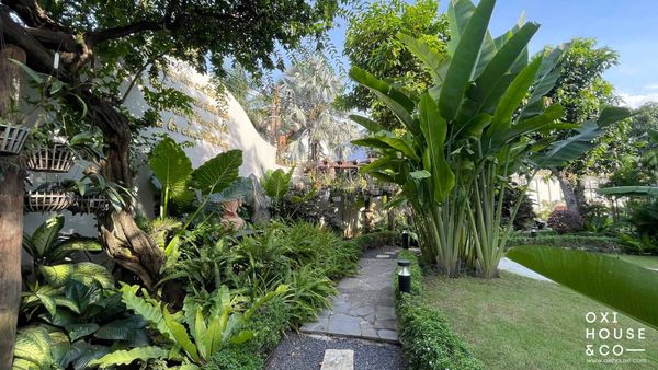 DỊCH VỤ CHĂM SÓC SÂN VƯỜN BIỆT THỰ