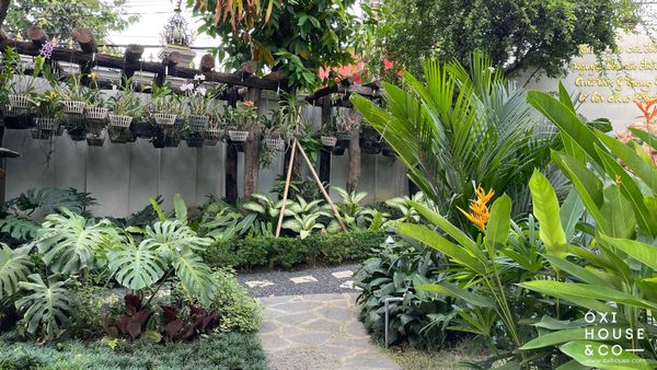 DỊCH VỤ CHĂM SÓC SÂN VƯỜN BIỆT THỰ