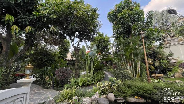 DỊCH VỤ CHĂM SÓC SÂN VƯỜN BIỆT THỰ