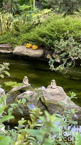 DỊCH VỤ CHĂM SÓC SÂN VƯỜN BIỆT THỰ