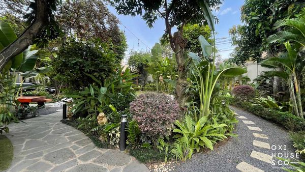 DỊCH VỤ CHĂM SÓC SÂN VƯỜN BIỆT THỰ