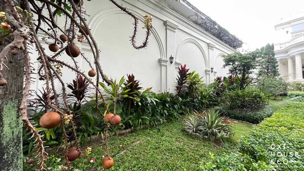 BẢO DƯỠNG SÂN VƯỜN BIỆT THỰ