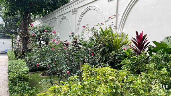 BẢO DƯỠNG SÂN VƯỜN BIỆT THỰ