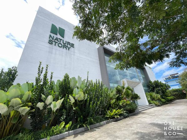 BẢO DƯỠNG CẢNH QUAN NHÀ MÁY NATURE STORY