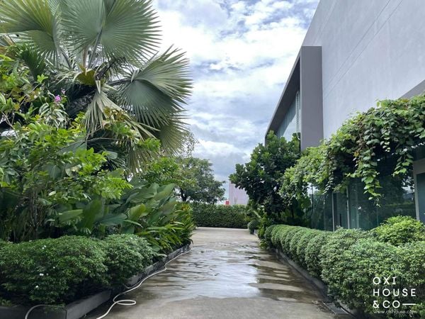 BẢO DƯỠNG CẢNH QUAN NHÀ MÁY NATURE STORY