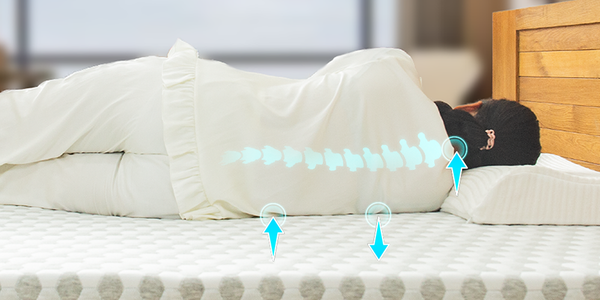 Nệm nâng đỡ cột sống