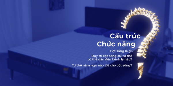Nệm nâng đỡ cột sống