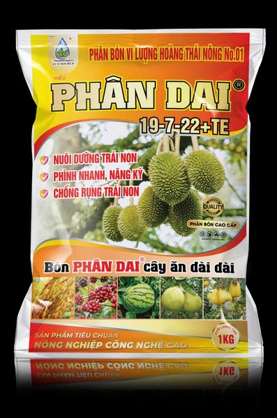 NHỮNG SAI LẦM KHI TRỒNG HOA CÚC TẾT VÀ CÁCH KHẮC PHỤC HIỆU QUẢ