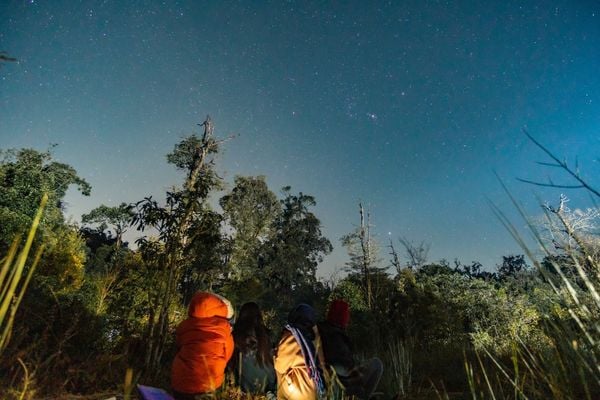 Hoạt động ngắm sao cùng trẻ vào mùa hè