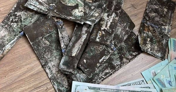 Cách cất tiền đô không bị mốc