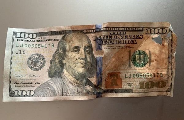 Cách cất tiền đô không bị mốc