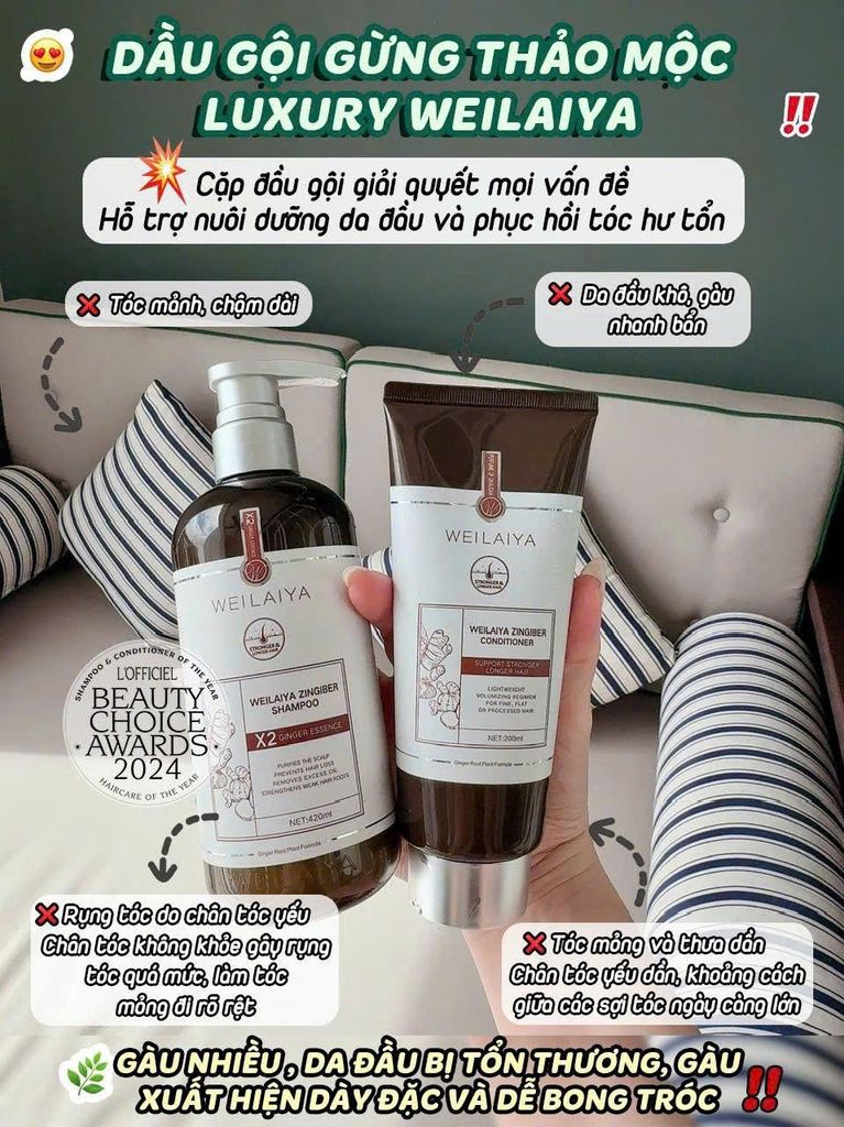Bộ gội xả Gừng Luxury chứa các hoạt chất hỗ trợ da đầu sạch gàu khỏe mạnh
