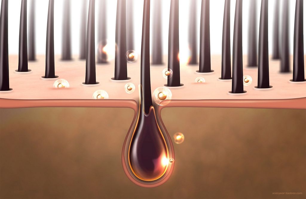 Các hoạt chất trị gàu hiệu quả giúp tóc giảm gàu rõ rệt