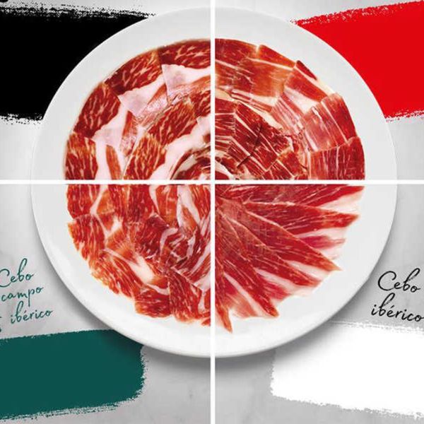 nhan-mac-cac-loai-iberico