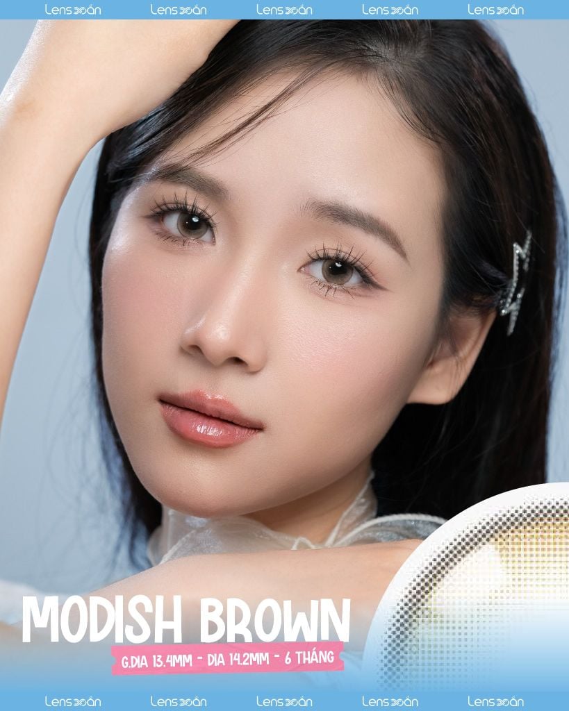 Modish Brown OLOLA – Lens nâu lạnh ánh khói tự nhiên, trong veo dễ đeo