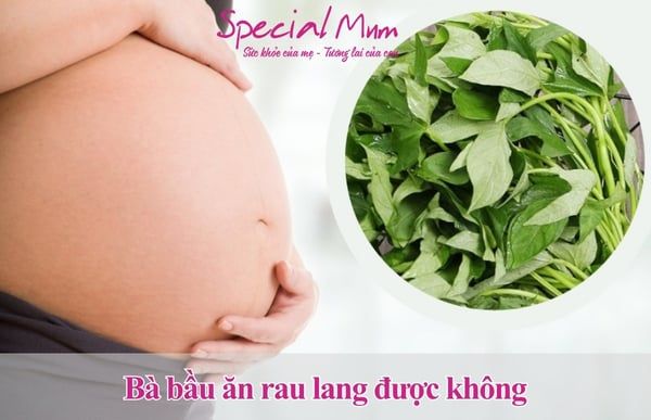 bầu 3 tháng đầu ăn rau lang được không?