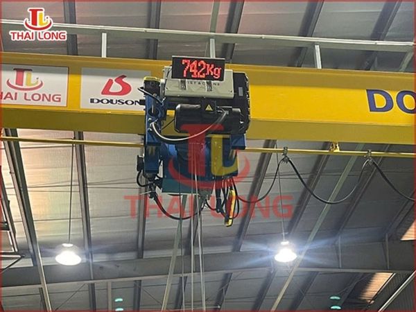 Các loại pa lăng thường dùng cho cầu trục dầm đơn