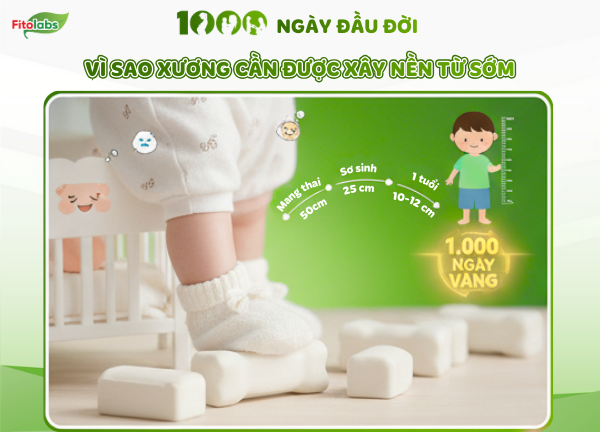 1000 ngày đầu đời xương cần được xây nền từ sớm