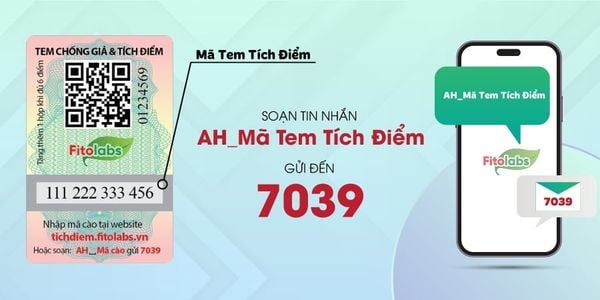 soạn tin nhắn tích điểm fitolabs