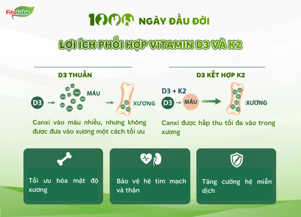 lợi ích khi phối hợp D3K2 trong 1000 ngày đầu đời