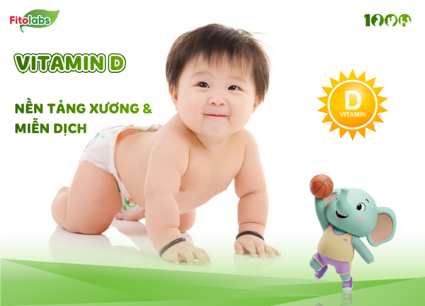 vitamin D3 giúp hấp thu canxi ở ruột