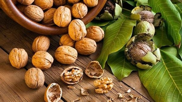 hạt óc chó - hạt tốt cho bà bầu