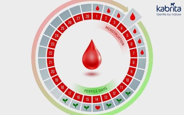 tính ngày dự sinh dựa trên kỳ kinh nguyệt