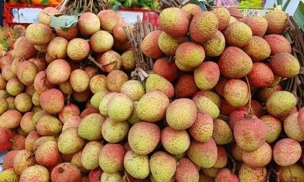 mẹ không nên ăn vải sau sinh