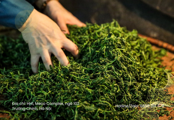 Set Tâm Trà Vạn Lộc