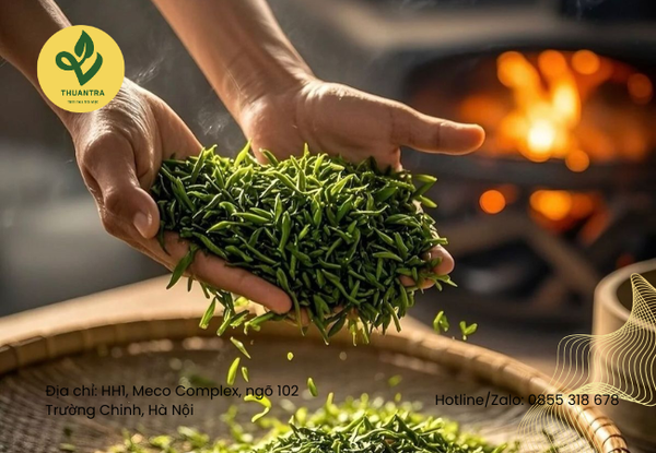 Trà Đinh Khác Gì So Trà Thái Nguyên Khác