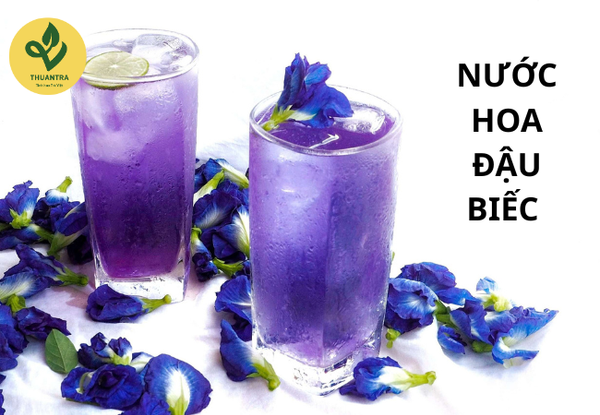 Trà Hoa Đậu Biếc