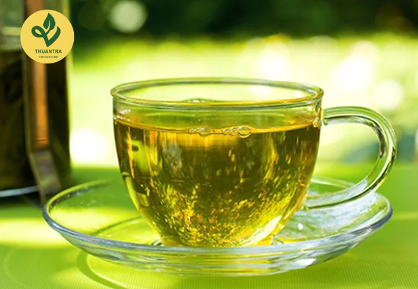 công dụng lá vối