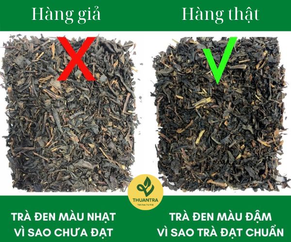 Tận Hưởng Hương Vị Tinh Tế - Cách Chọn Trà Ngon Cùng Thuận Trà Tân Cương
