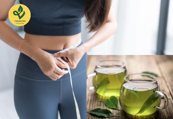 lá vối có giảm cân không