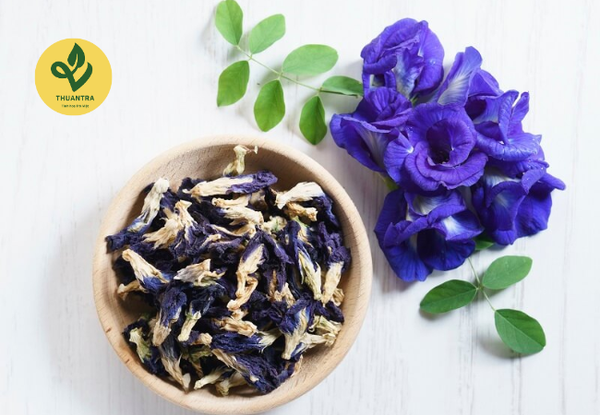 Trà Hoa Đậu Biếc