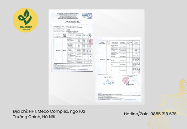 thưởng trà móc câu