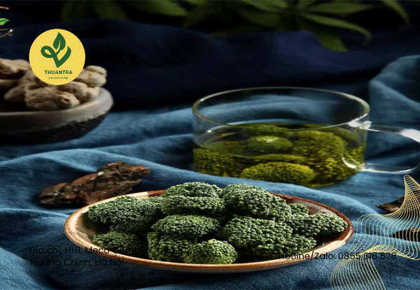 Nụ hoa tam thất rừng và trồng: Khác nhau ở đâu?