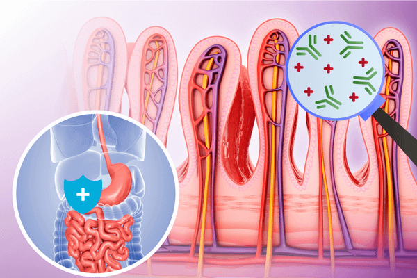 he mien dich duong ruot