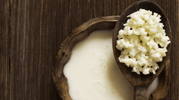 Sua tuoi A2A2 Mleko lam sua chua