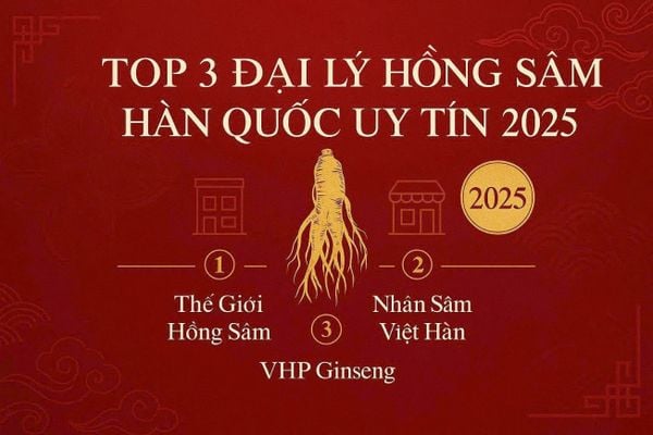 Top 3 Đại Lý Hồng Sâm Uy Tín